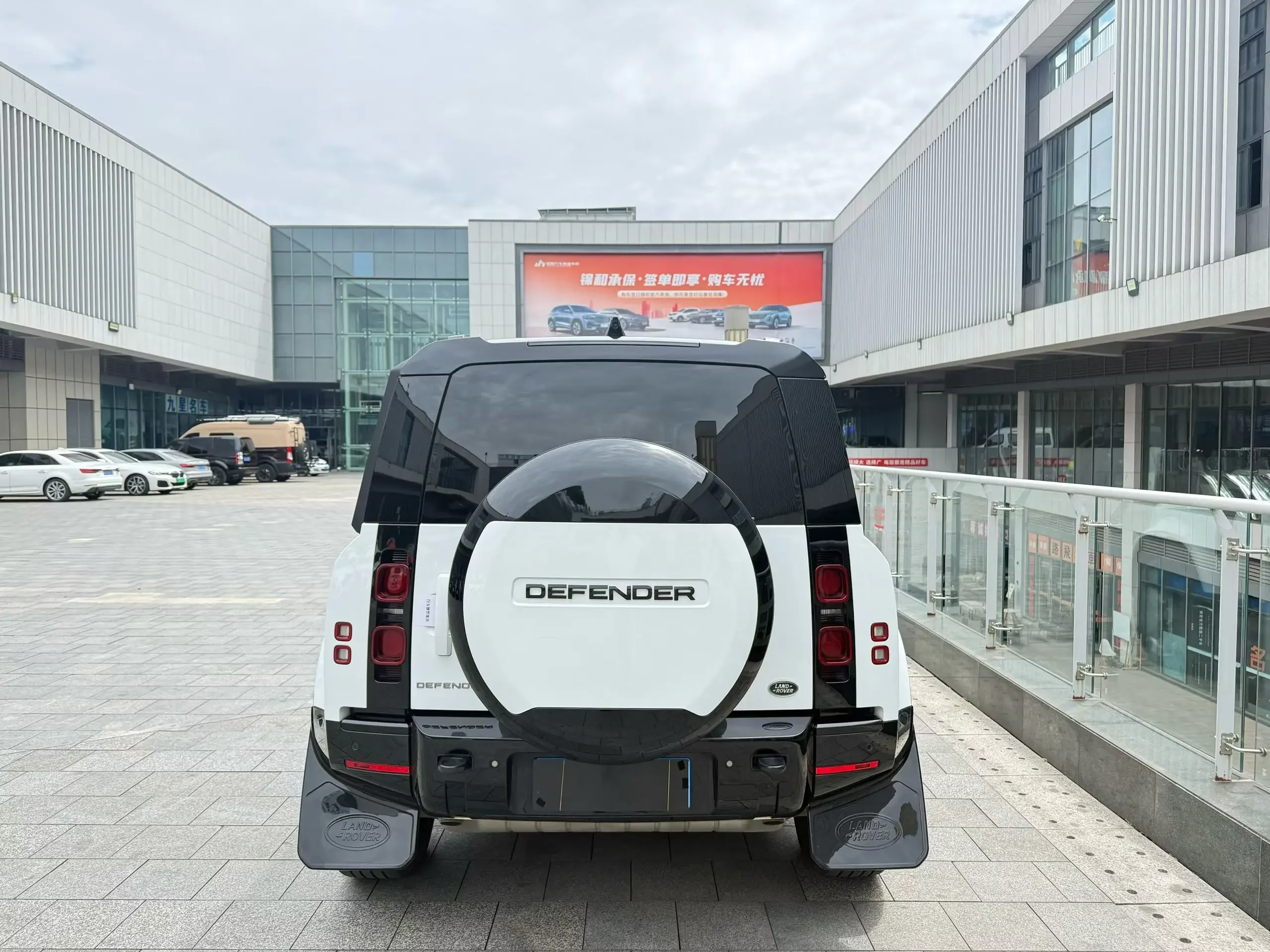 Land Rover guard