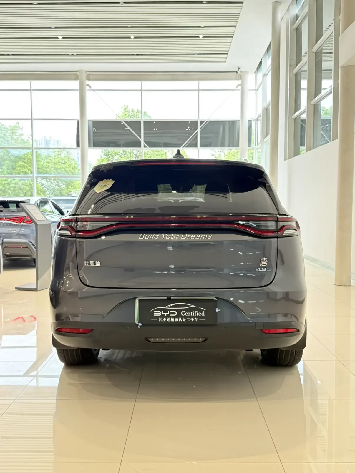 BYD Tang DM