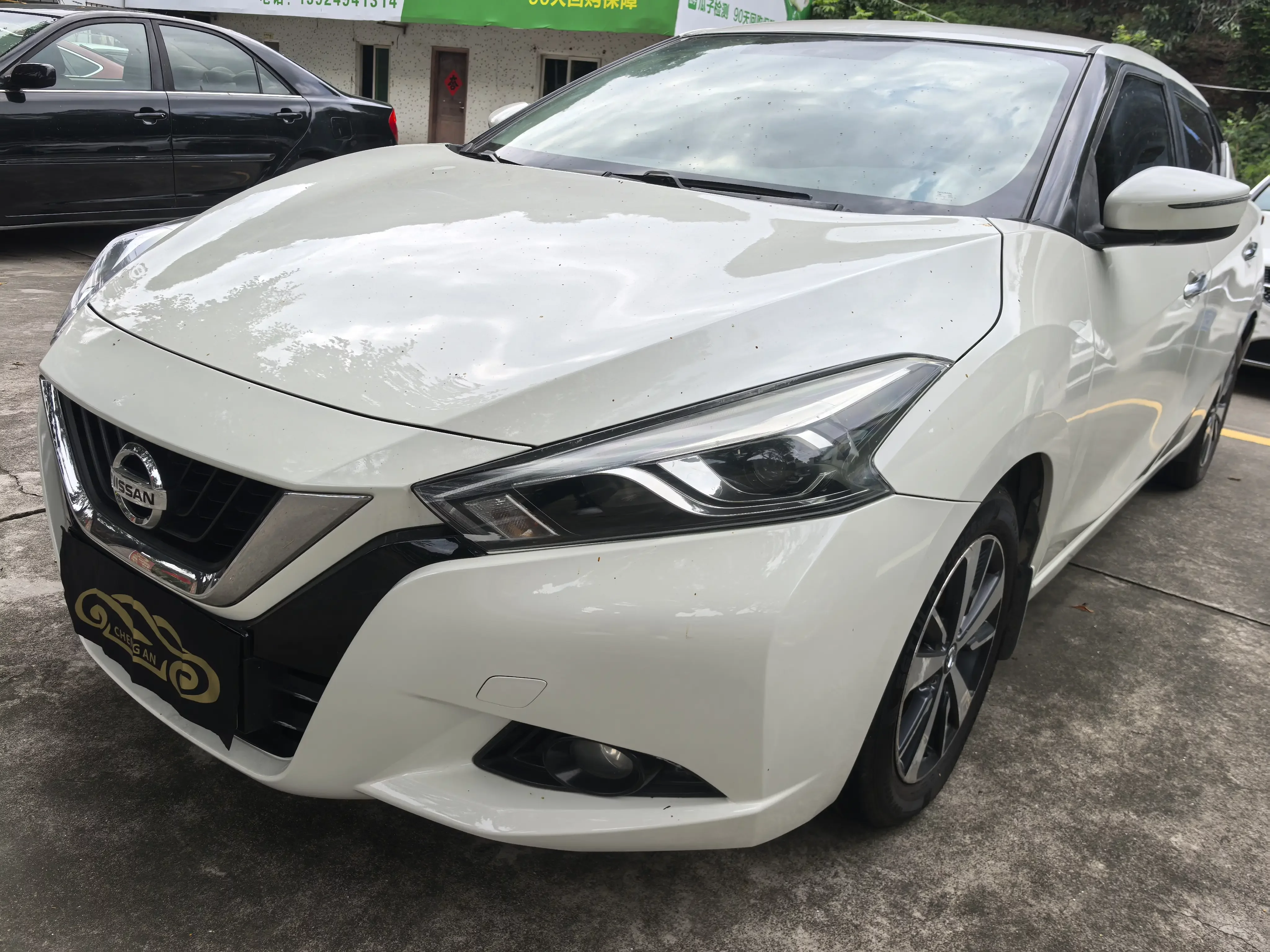 Nissan bluebird