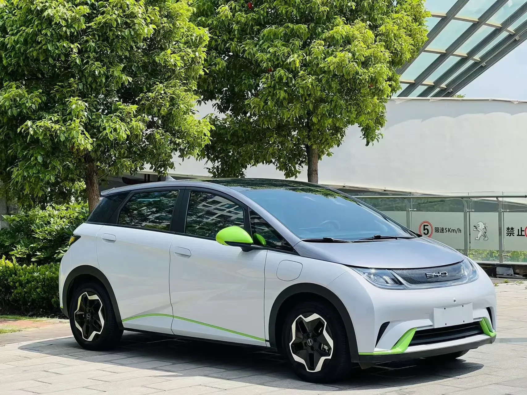 BYD dolphin