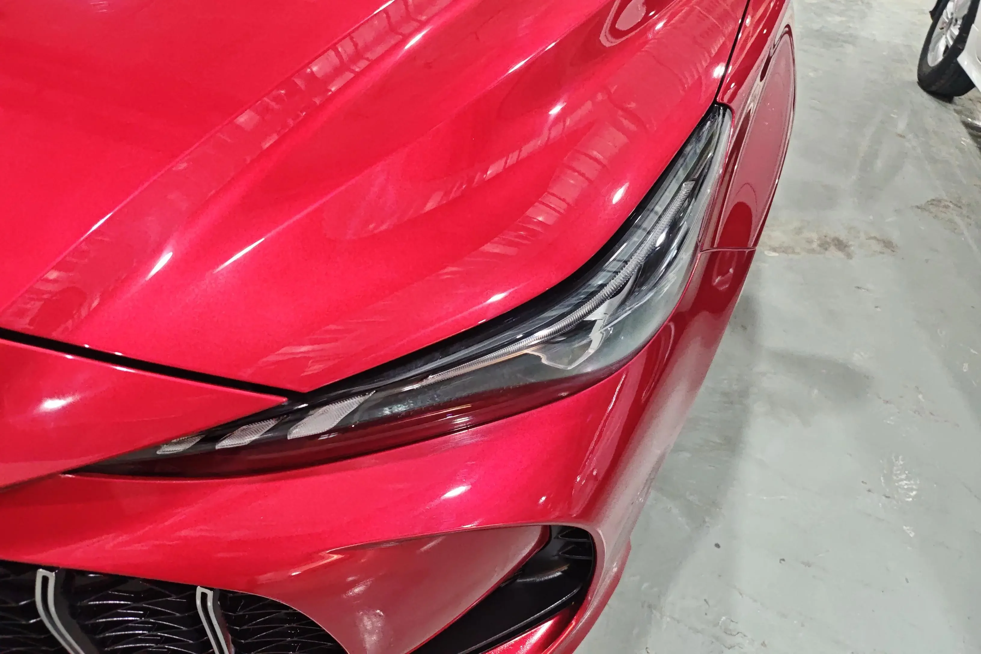 MG 5