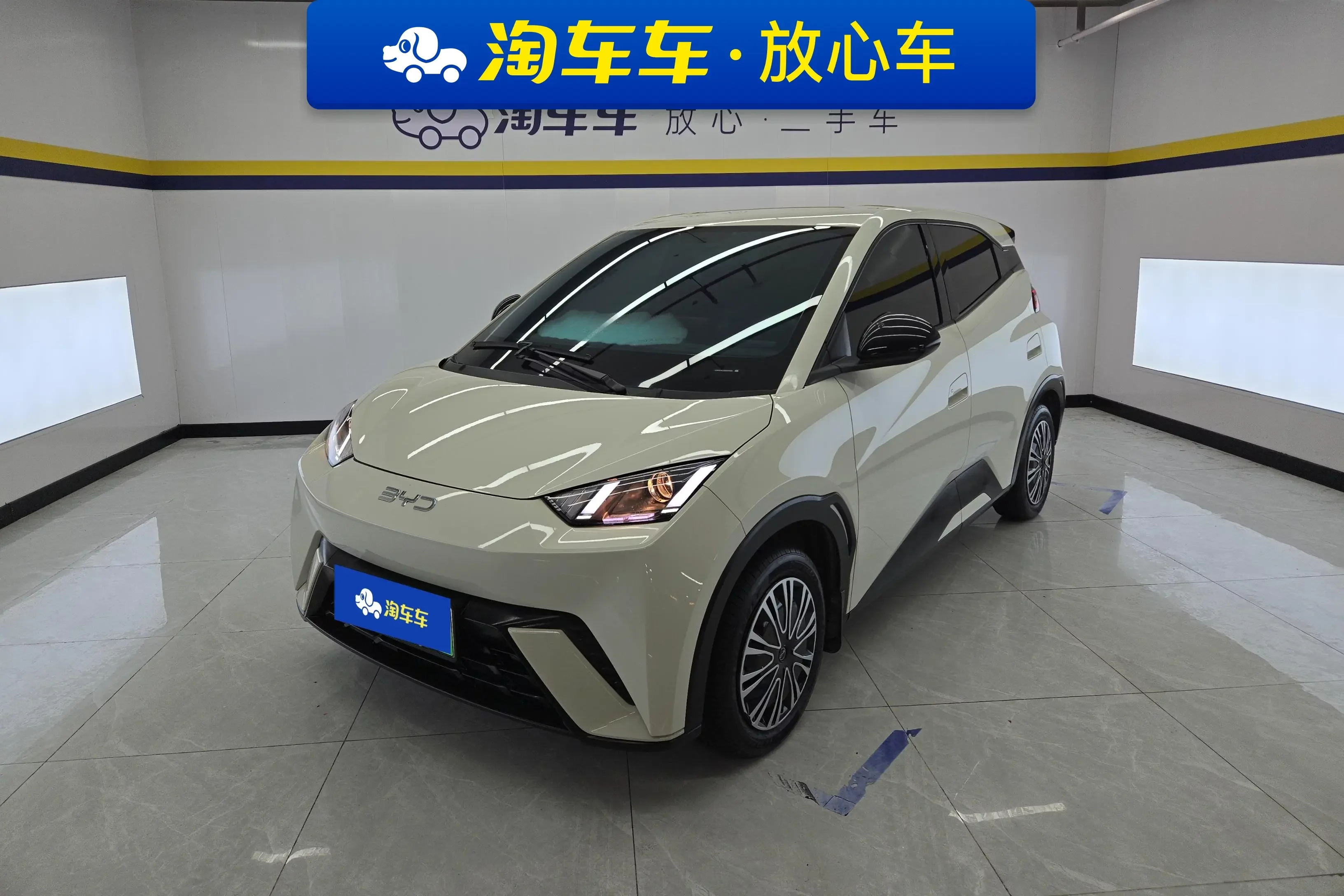 BYD seagull