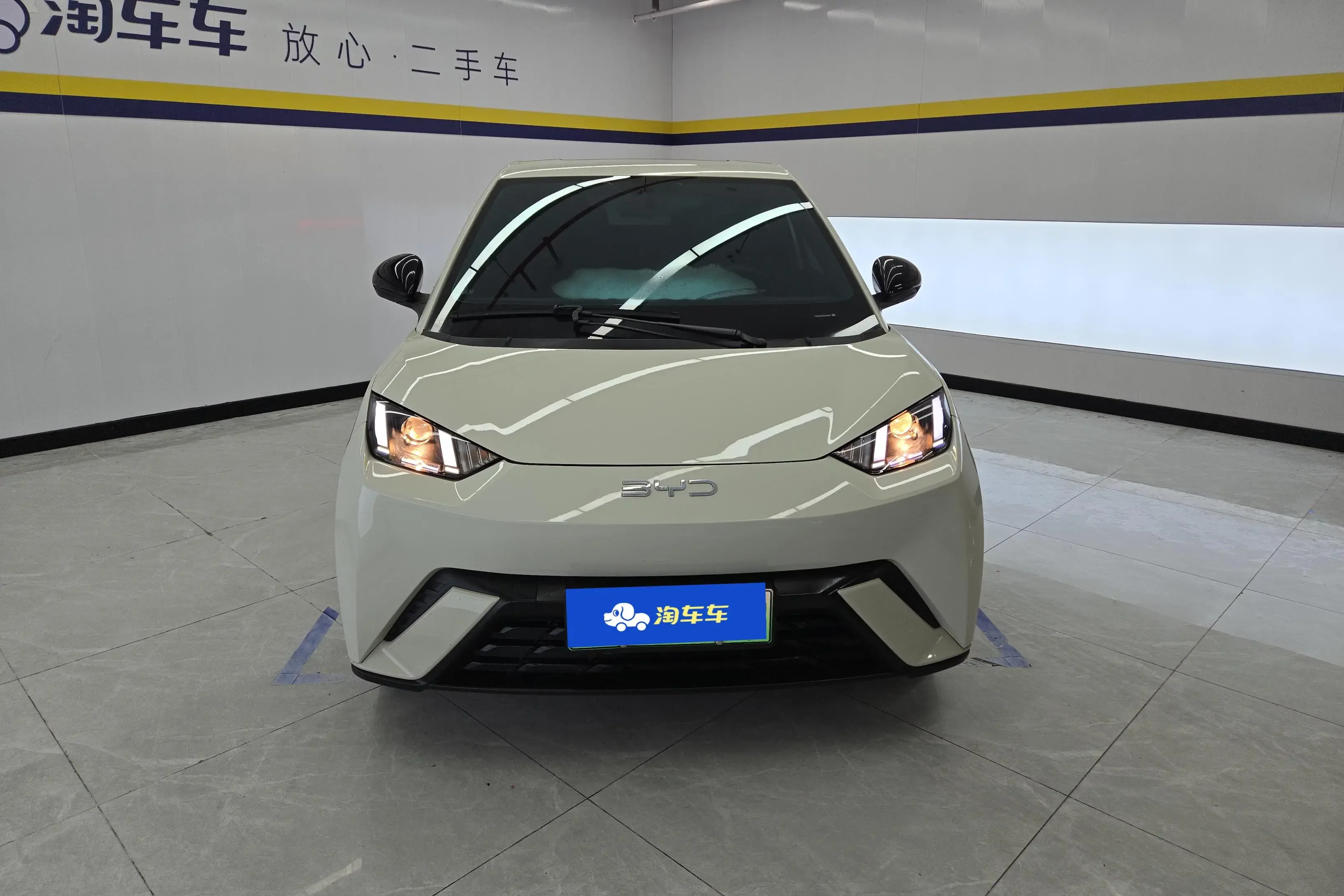 BYD seagull