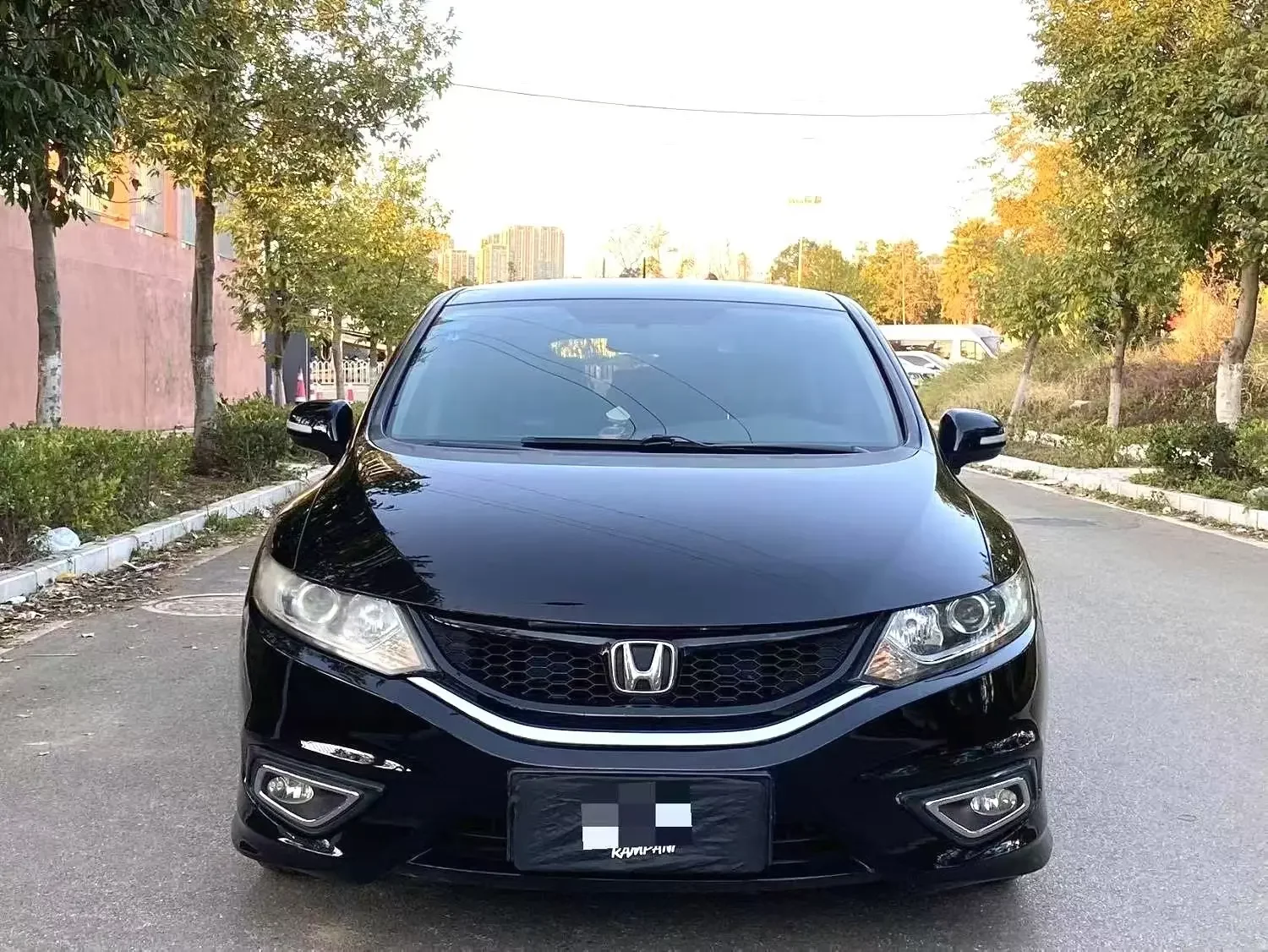 Honda Jed