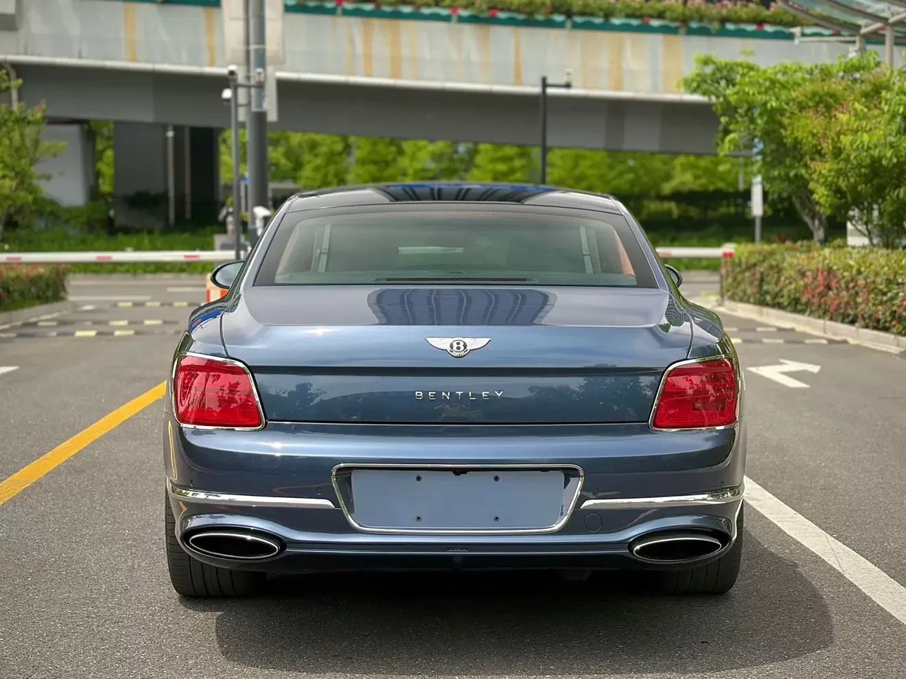 Bentley galloping