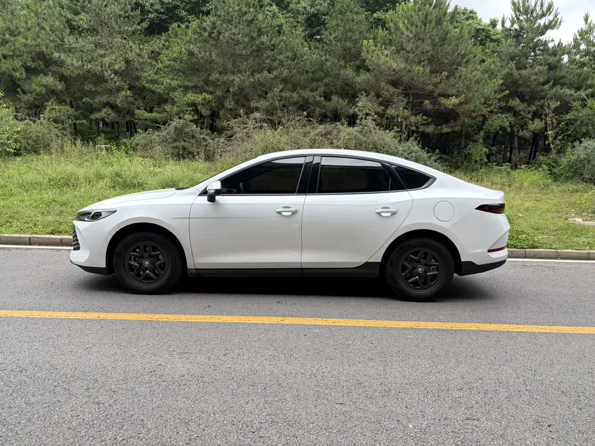 BYD Qin PLUS DM