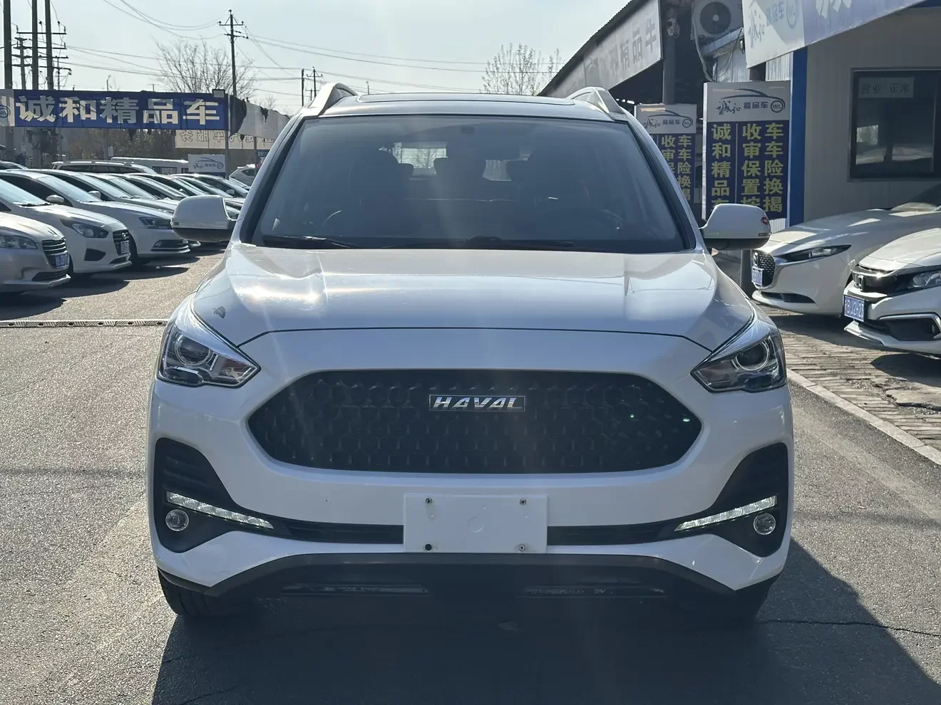 Haval M6