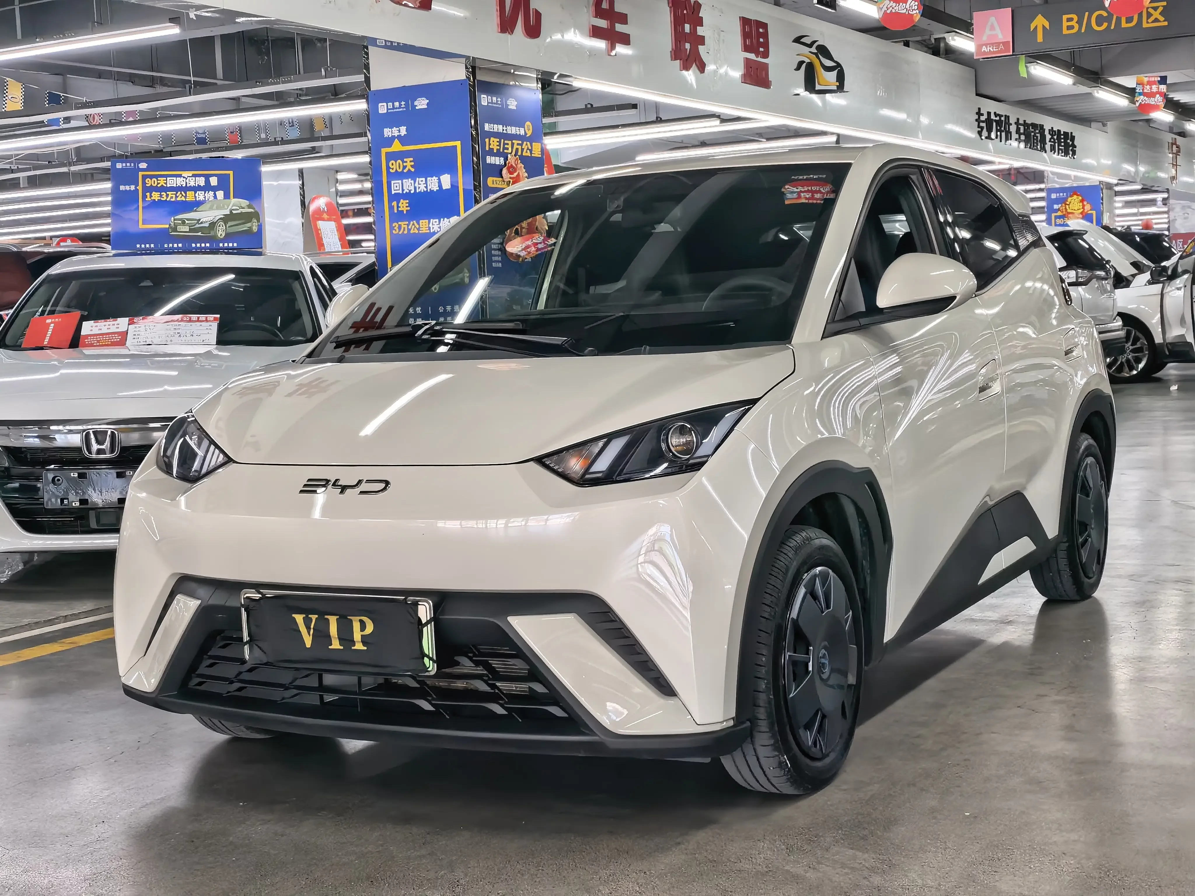 BYD seagull
