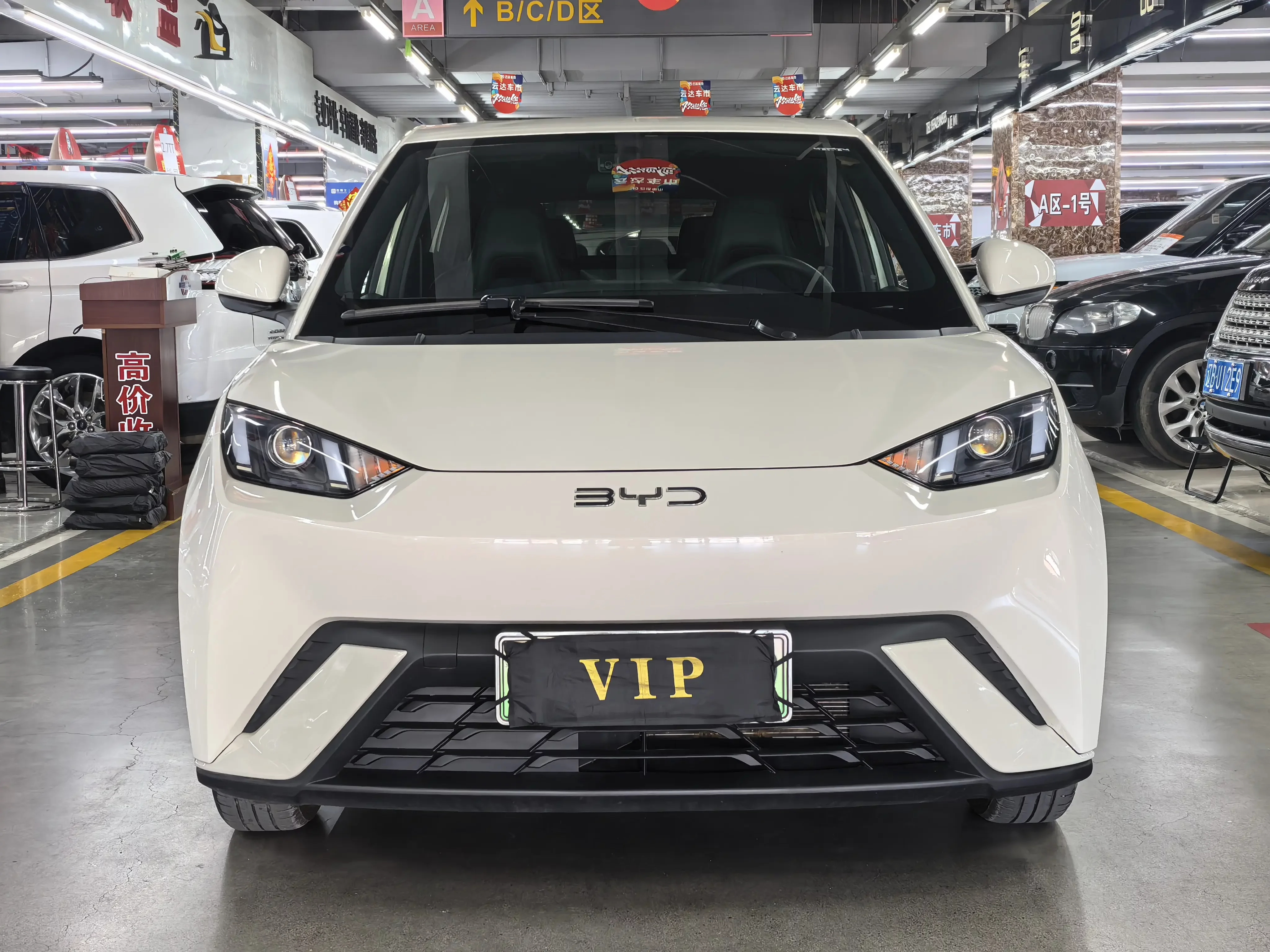BYD seagull