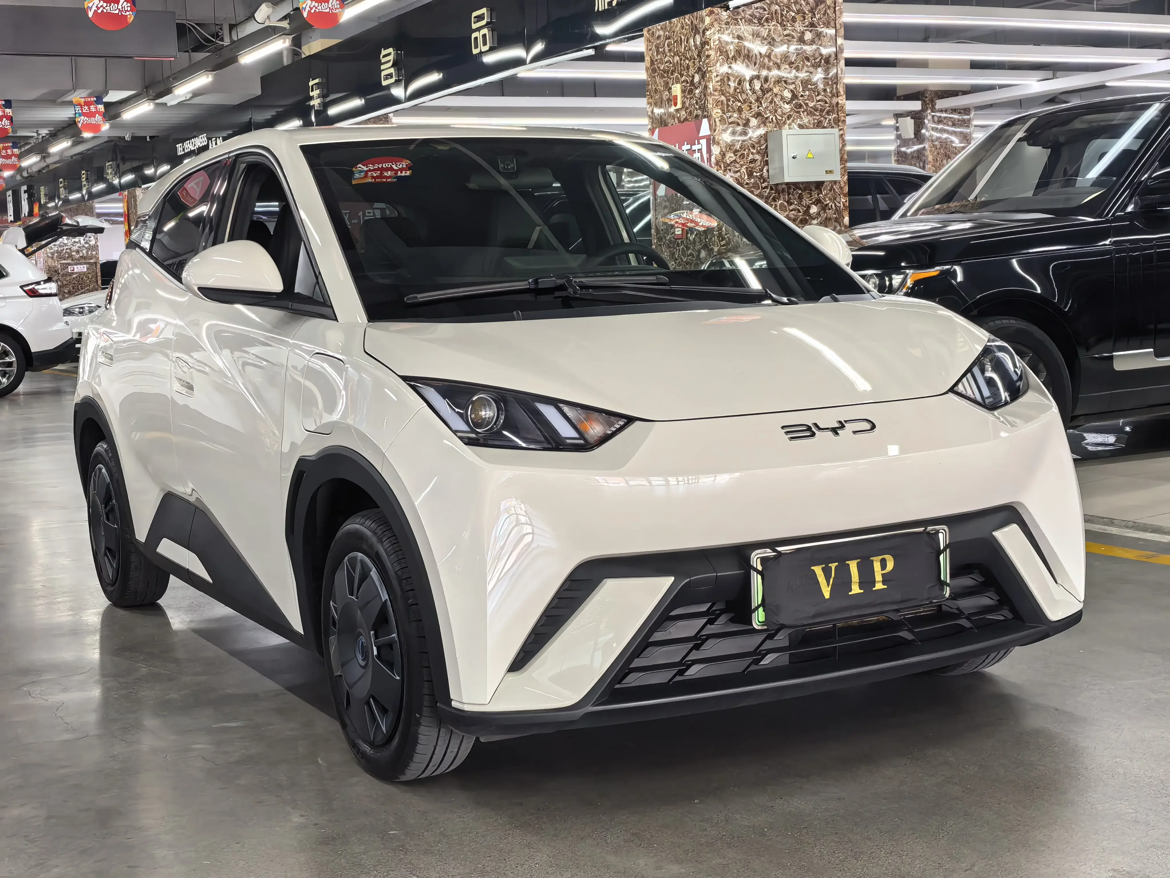 BYD seagull
