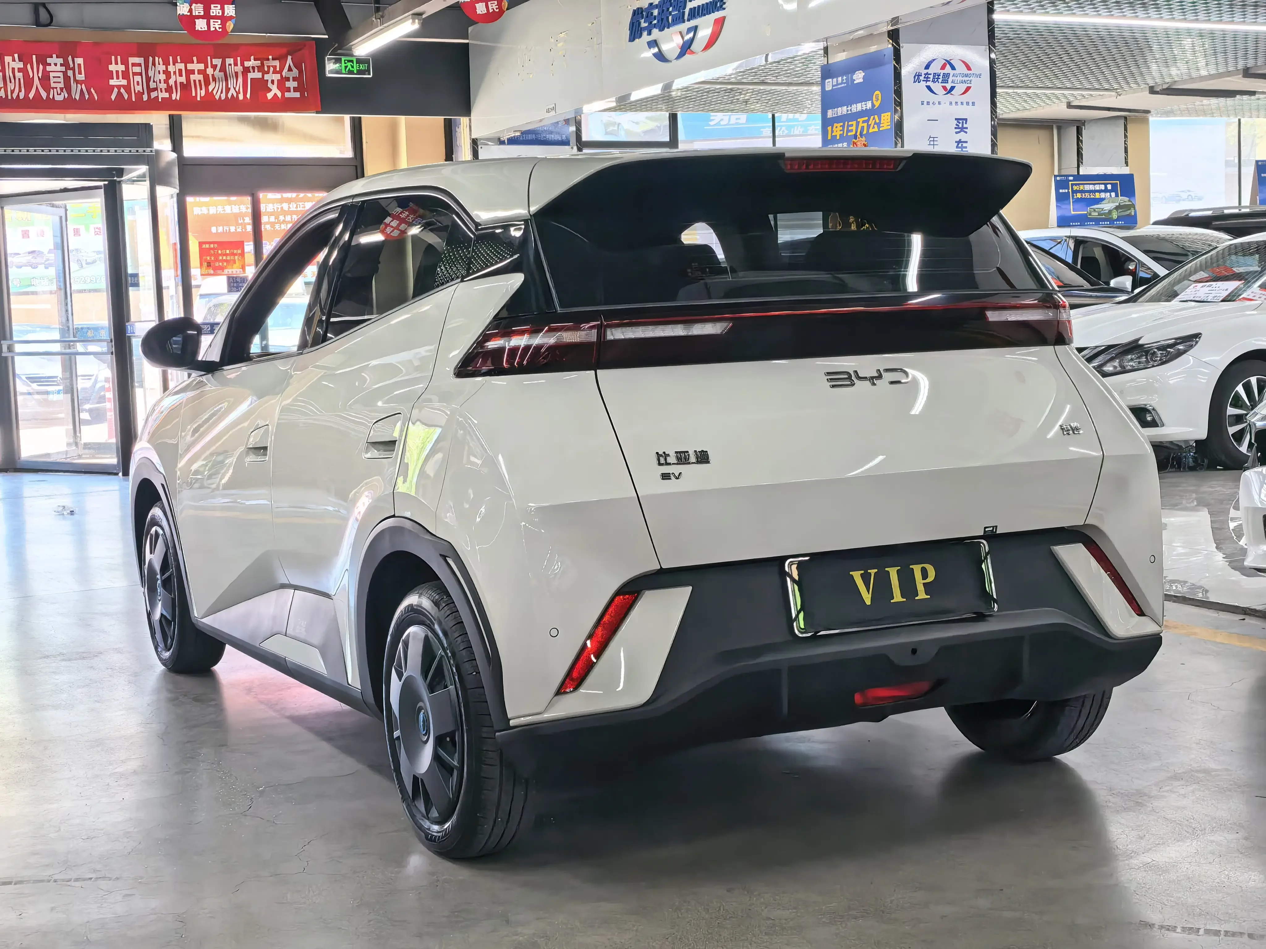 BYD seagull