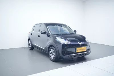 Wuling Bingo