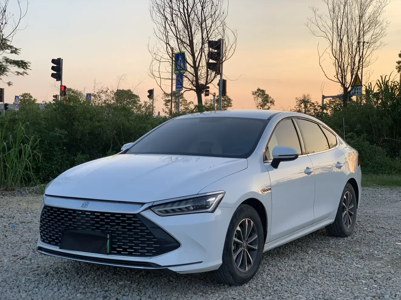 BYD Qin PLUS DM