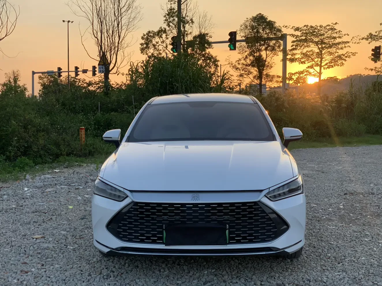 BYD Qin PLUS DM
