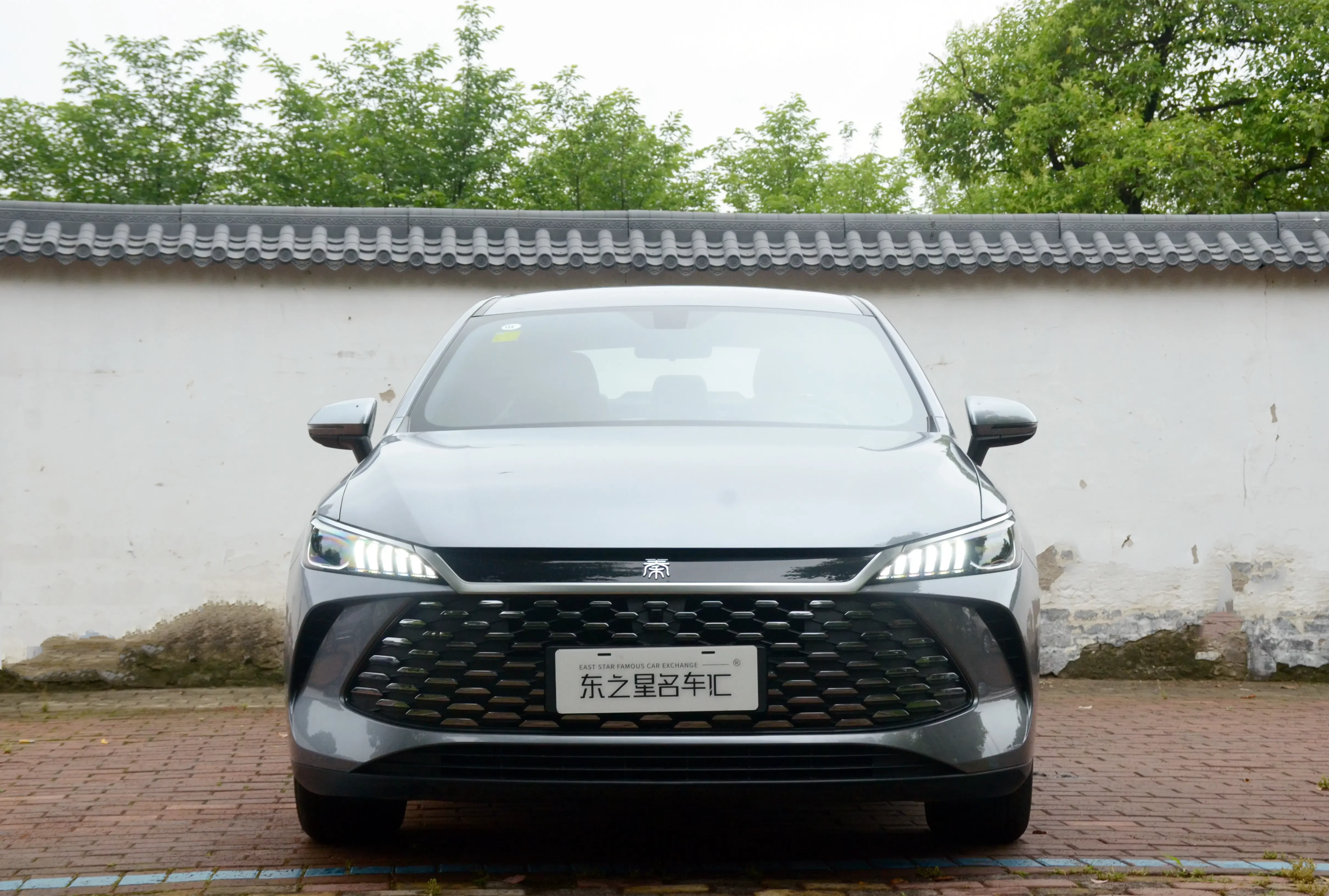 BYD Qin PLUS DM