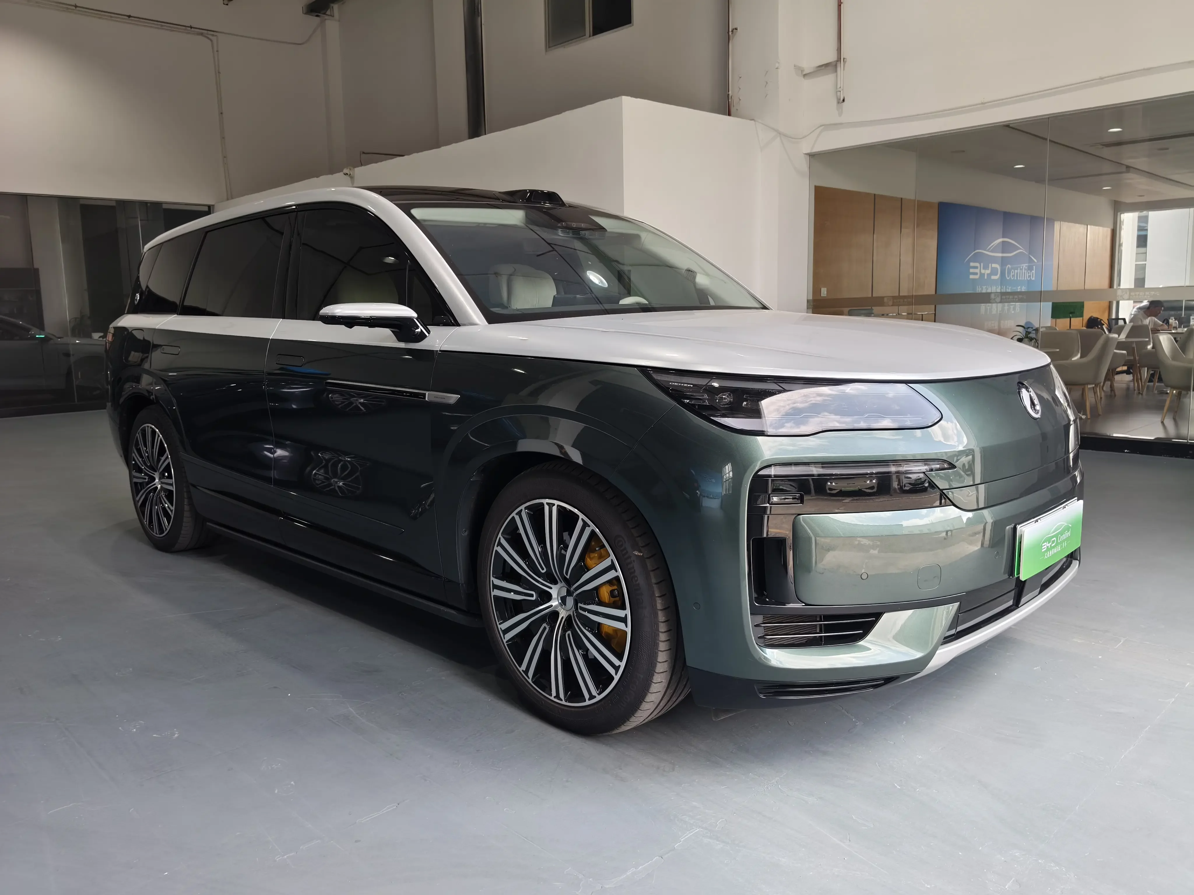 Denza Tengzhong N9 DM
