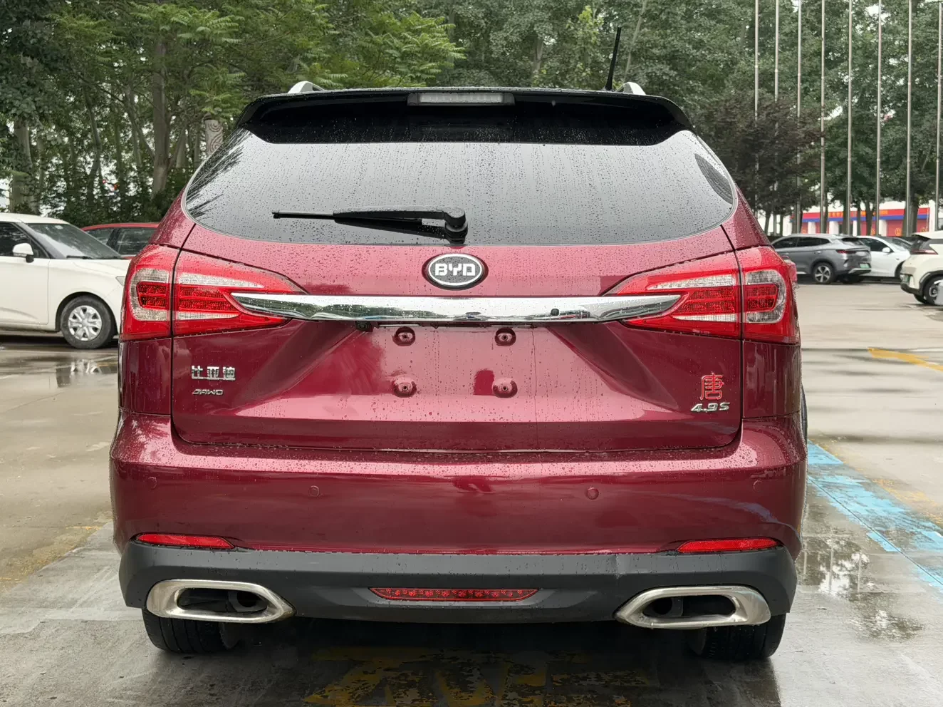 BYD Tang DM