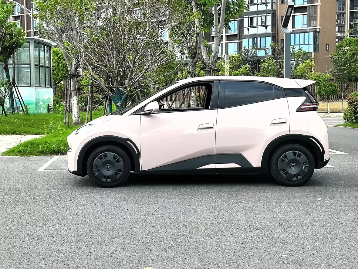 BYD seagull