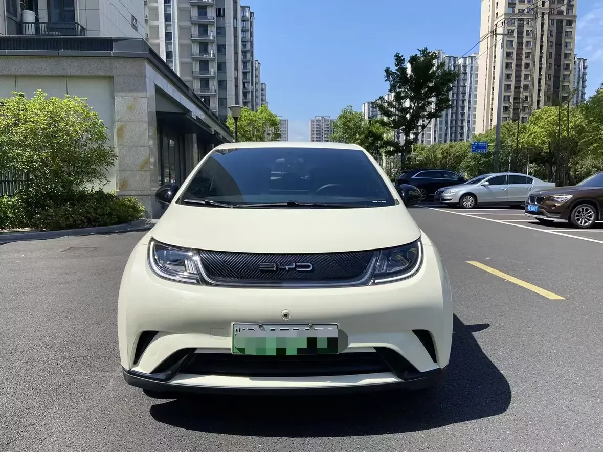 BYD dolphin