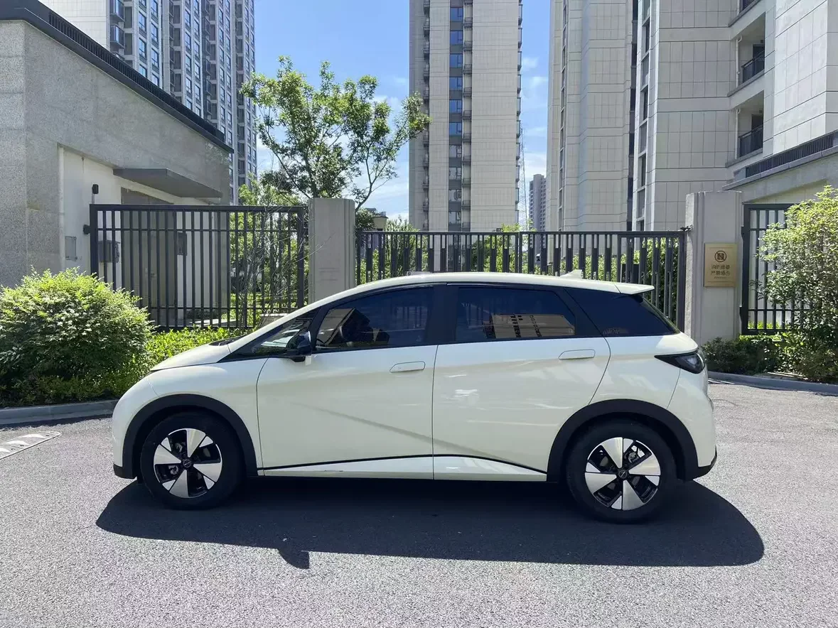 BYD dolphin