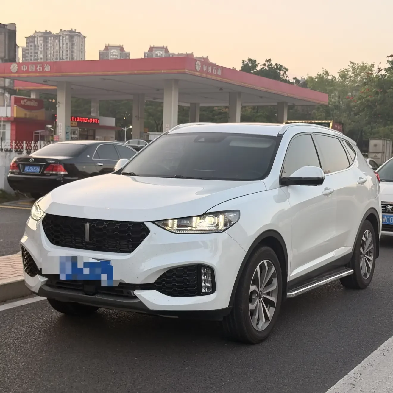 Wey Wei brand VV6