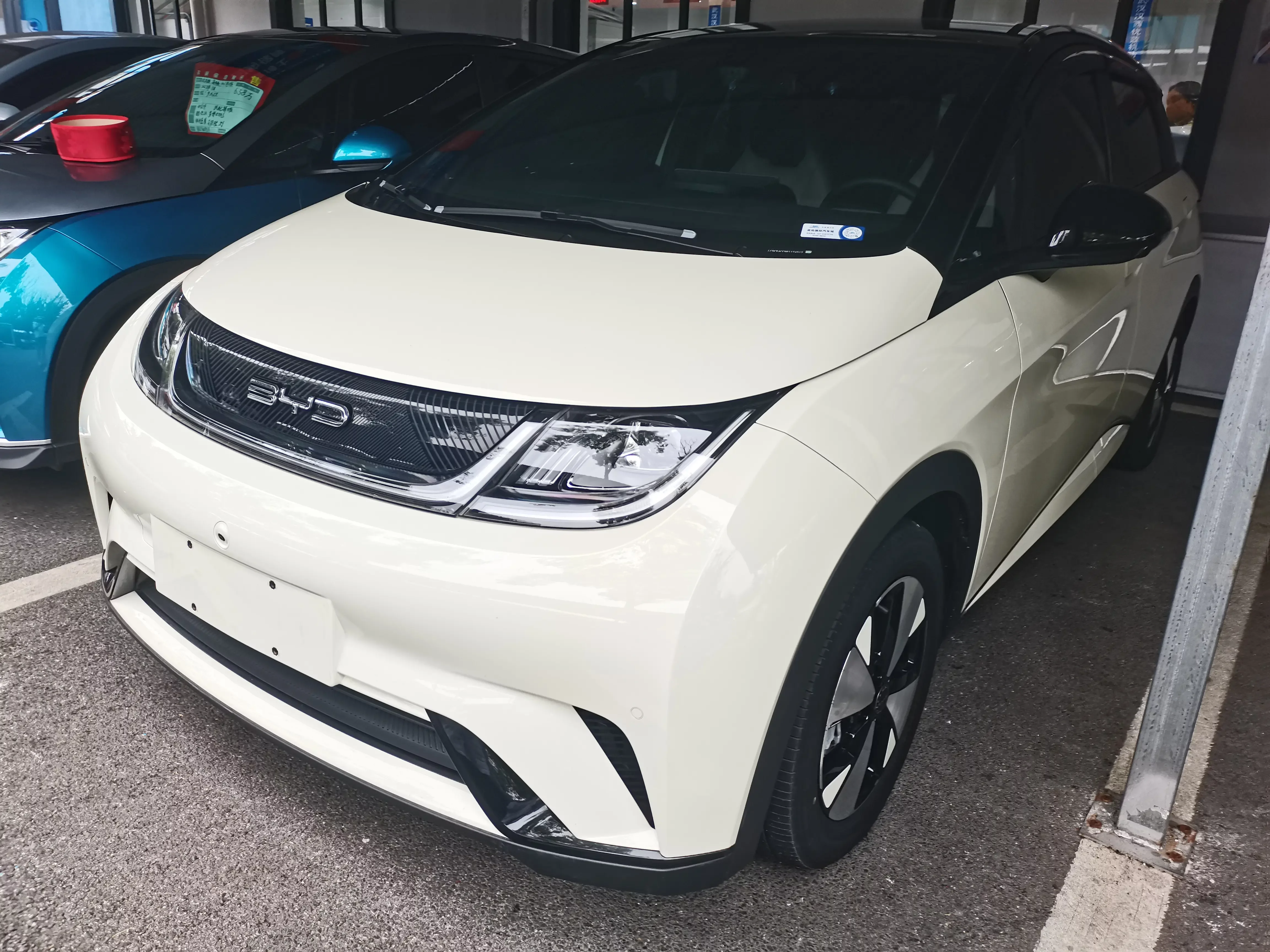 BYD dolphin