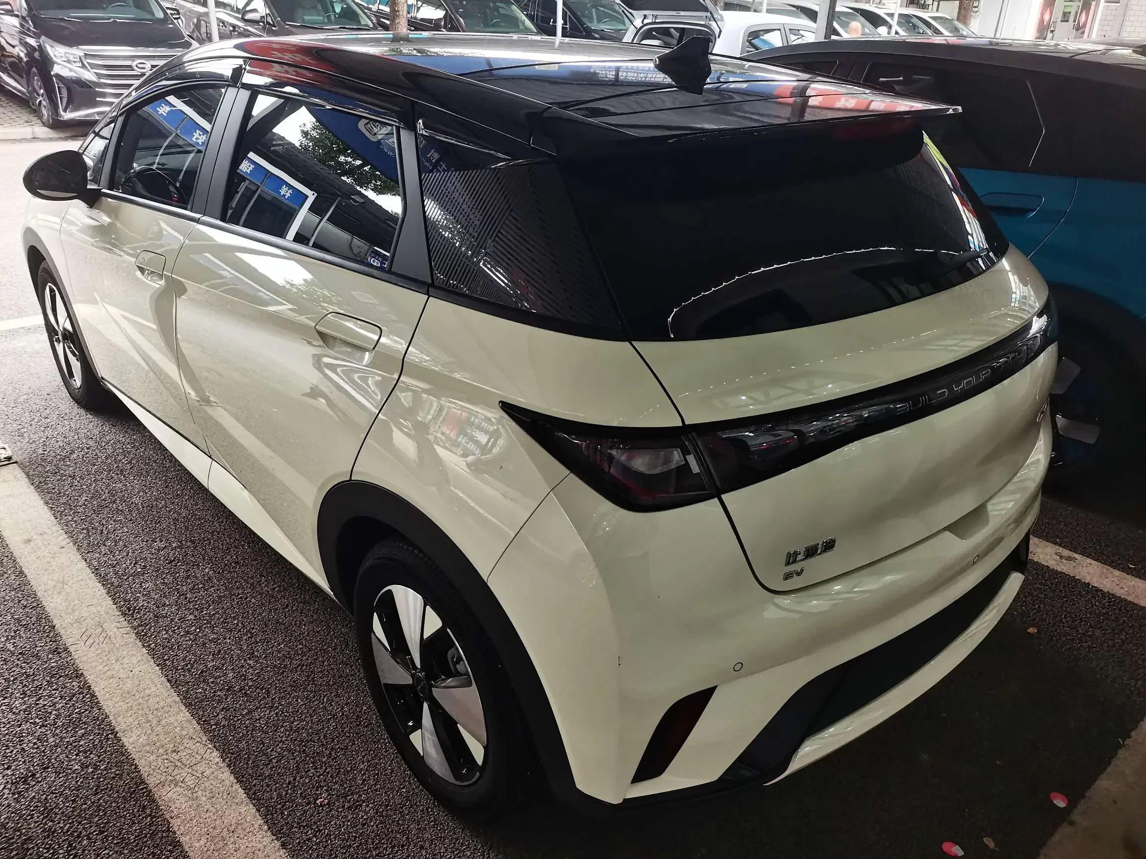 BYD dolphin