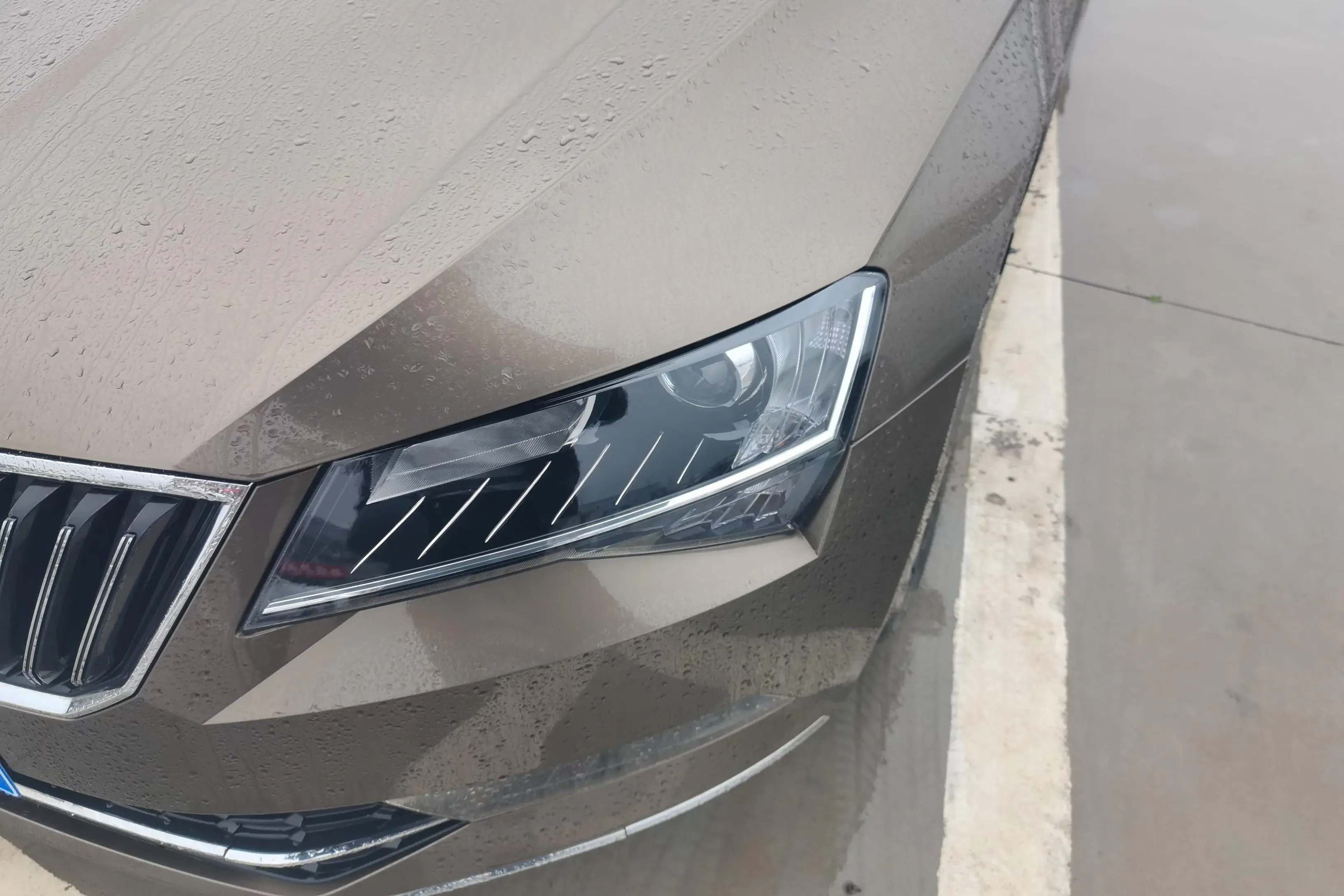 Skoda Speedy