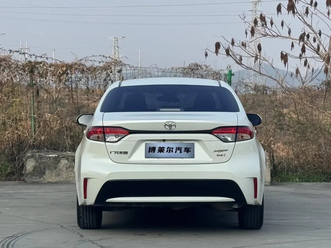 Toyota Levin