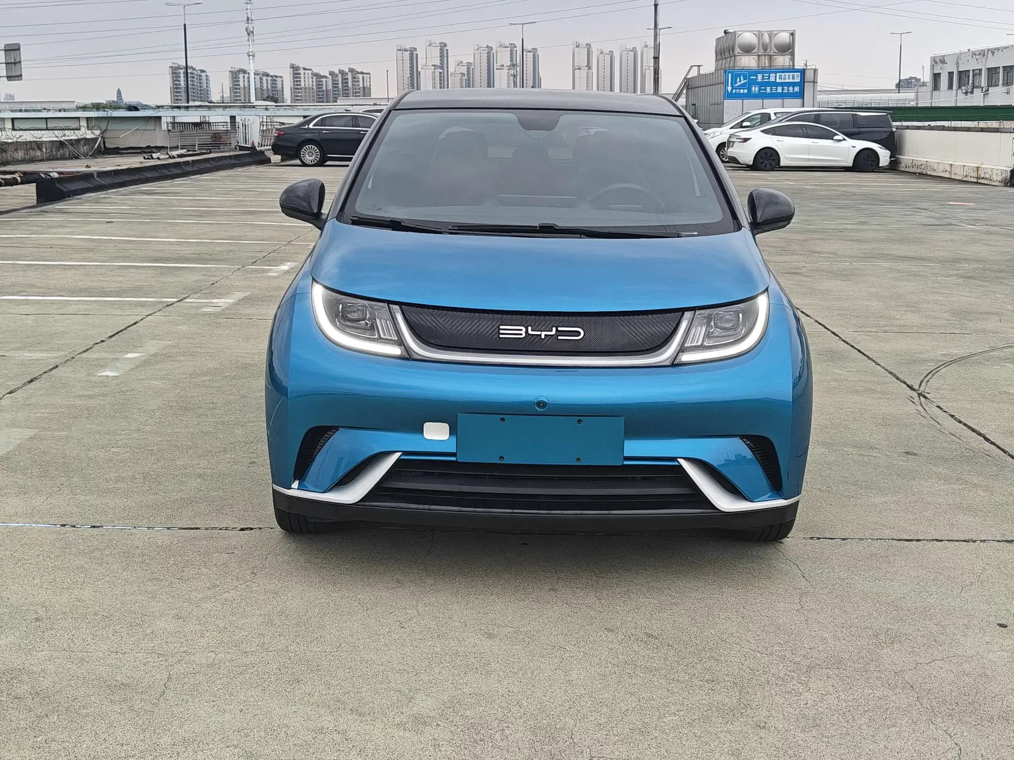 BYD dolphin