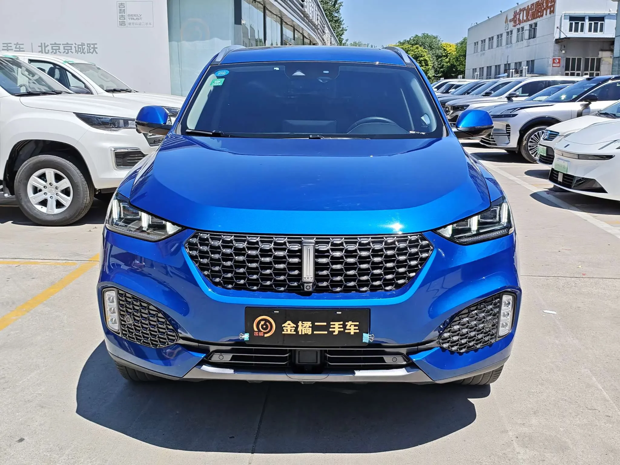 Wey Wei brand VV6