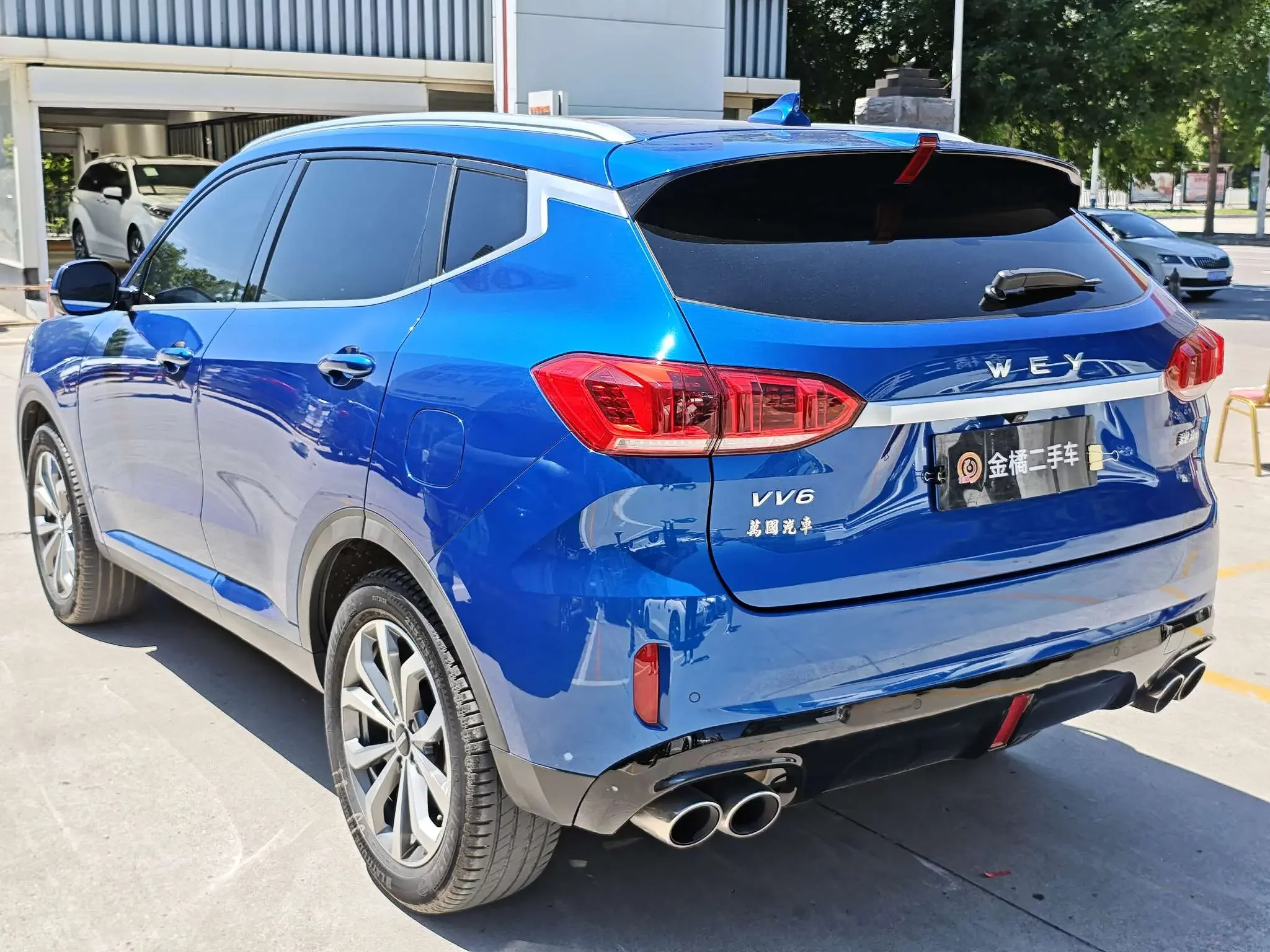 Wey Wei brand VV6