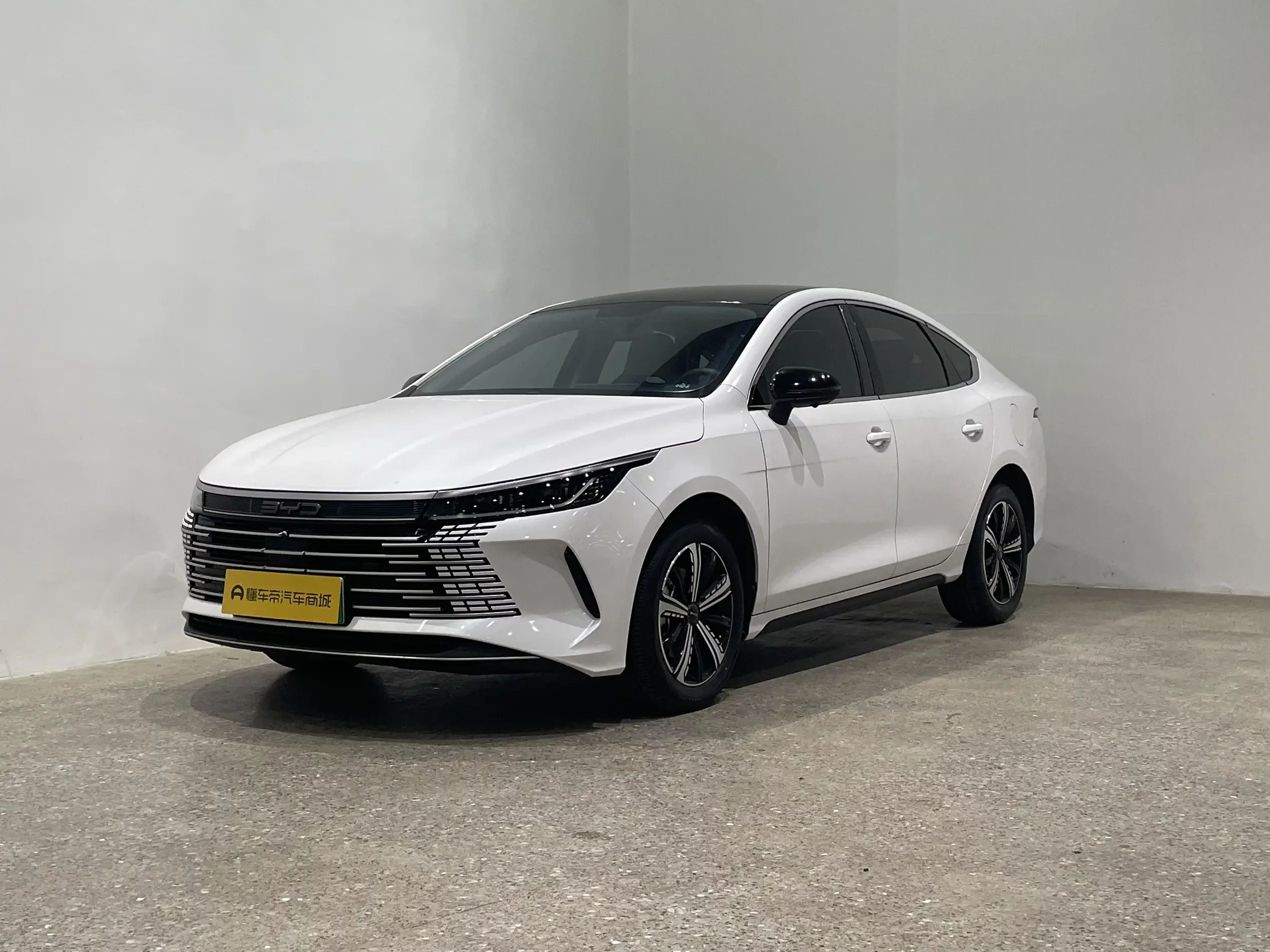 BYD Destroyer 05