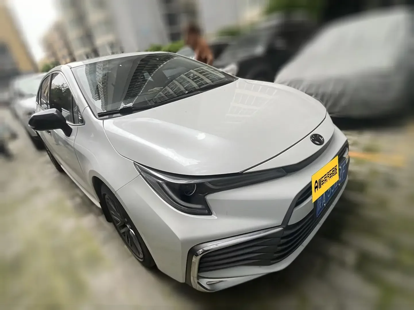 Toyota Levin