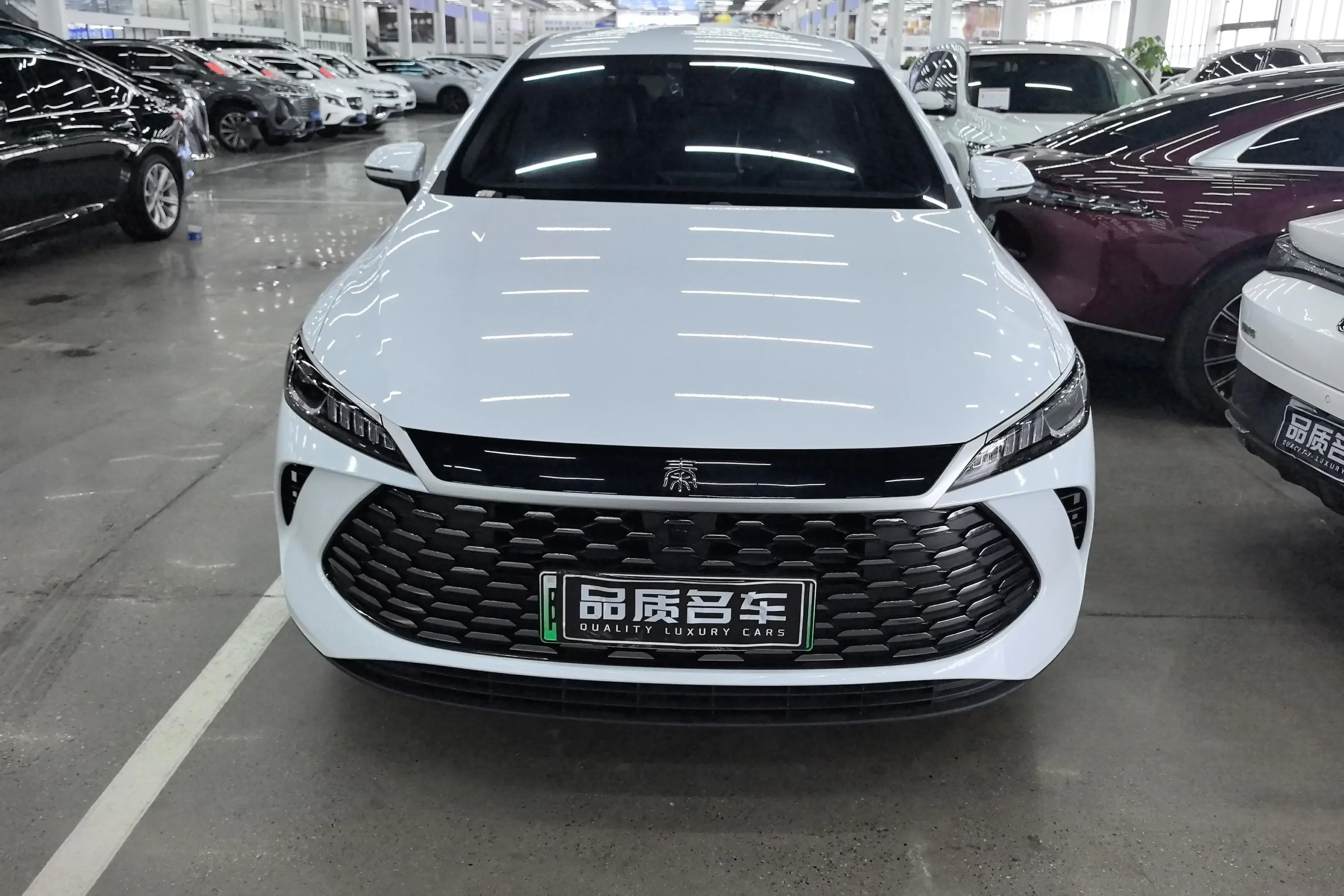 BYD Qin PLUS DM