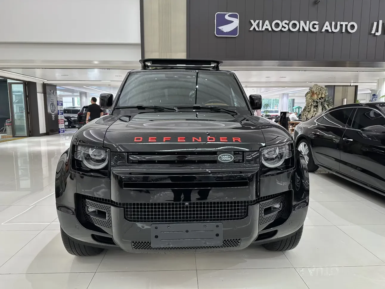 Land Rover guard