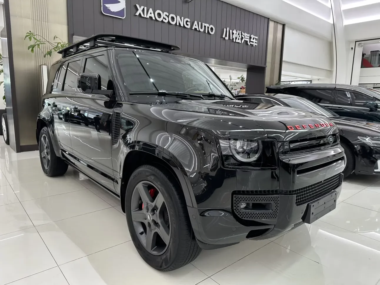 Land Rover guard