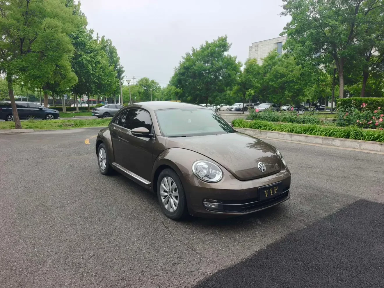 Volkswagen Beetle