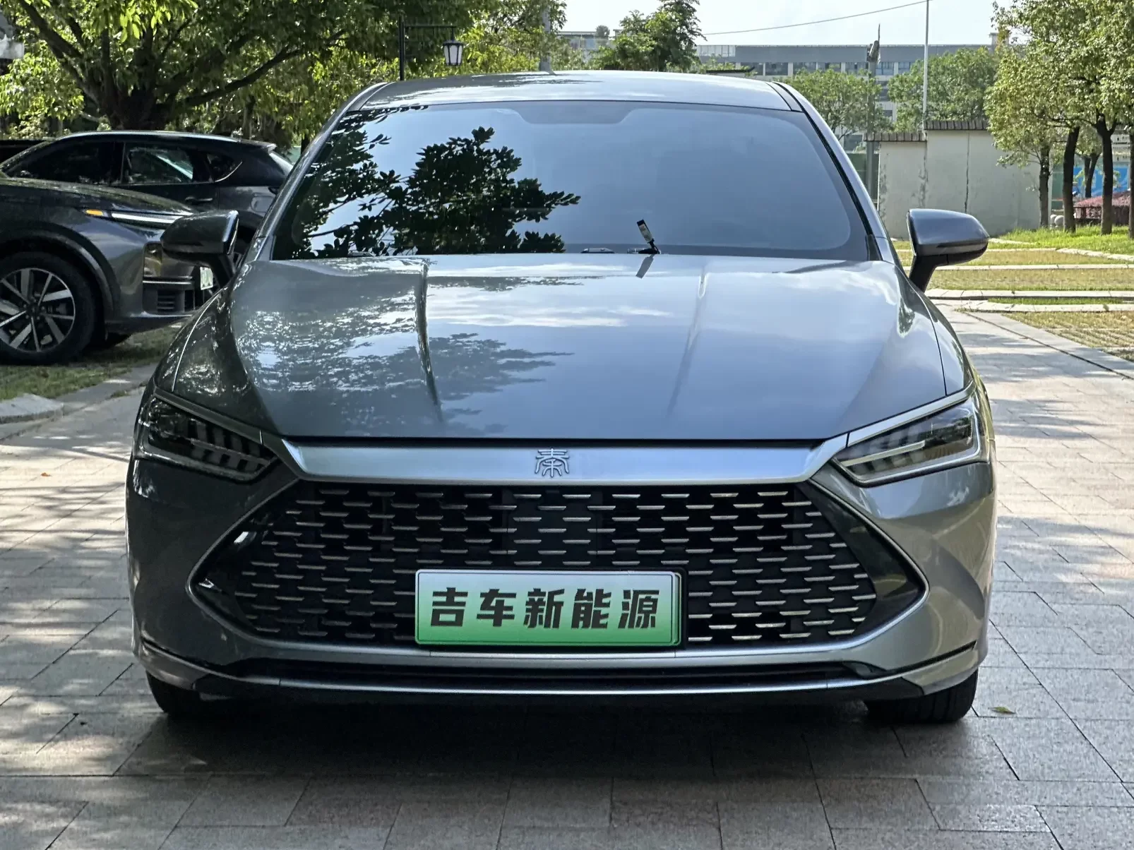 BYD Qin PLUS DM