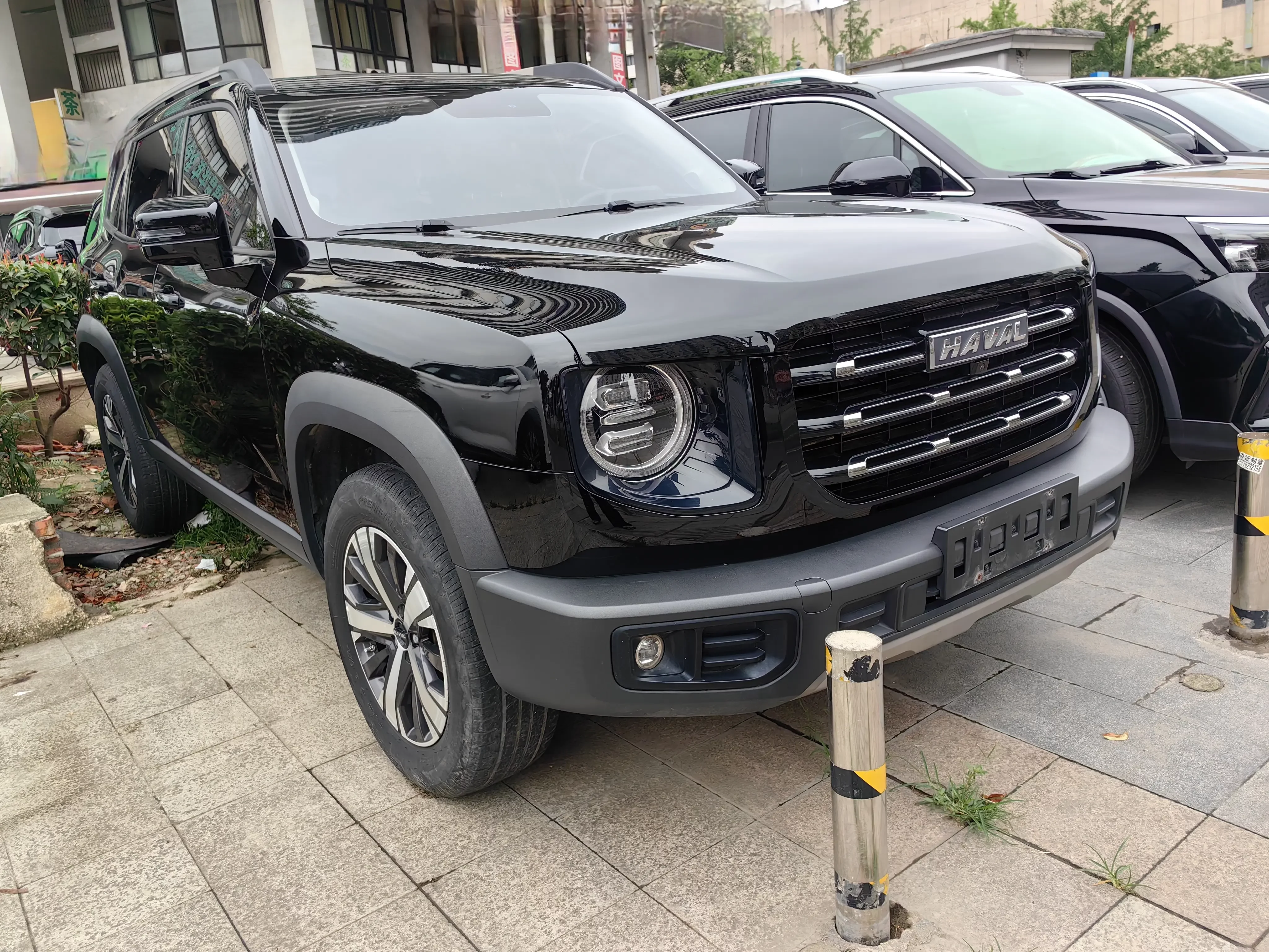 Haval Dargo