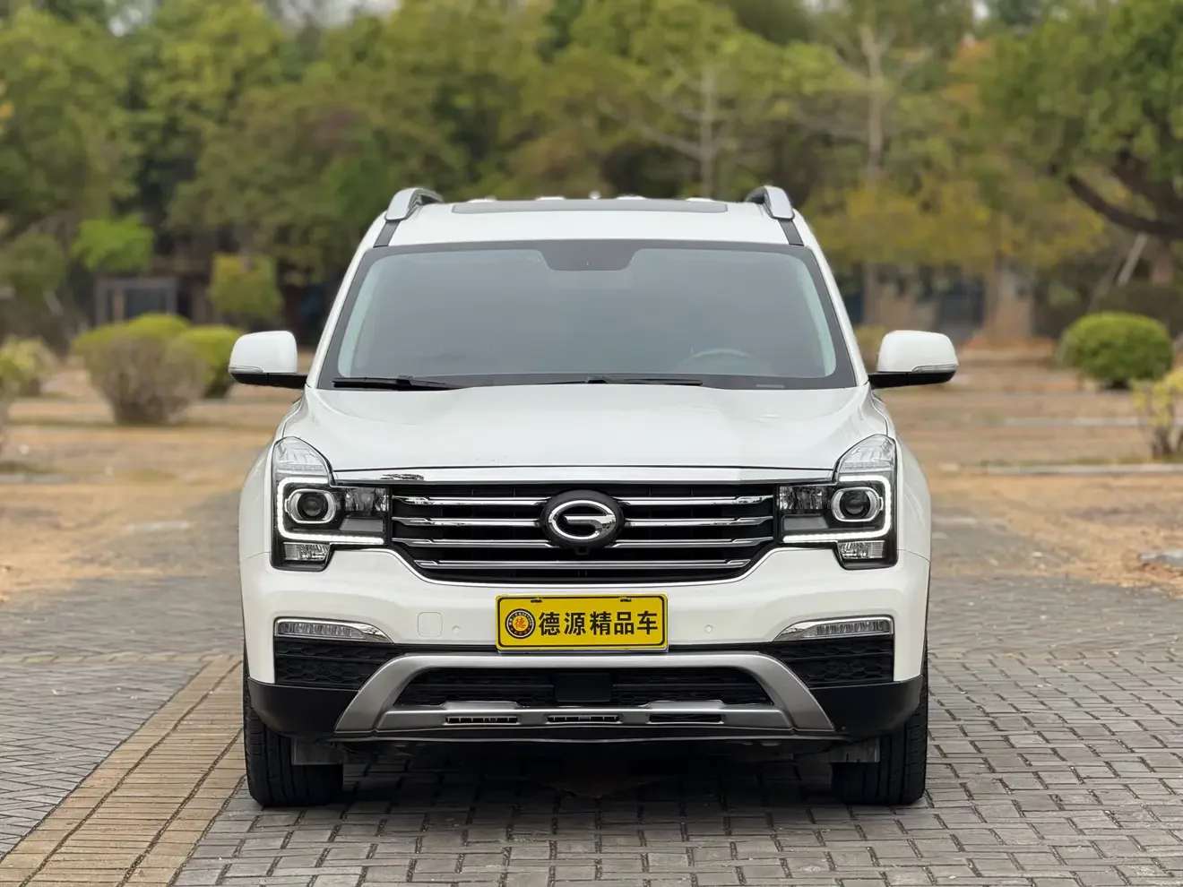 GAC Trumpchi GS8