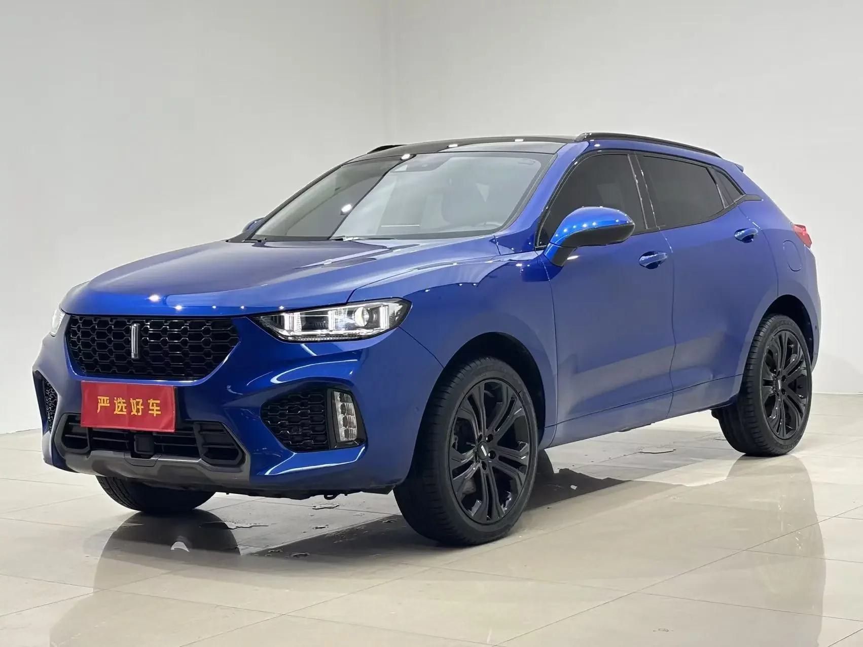 Wey Wei brand VV5