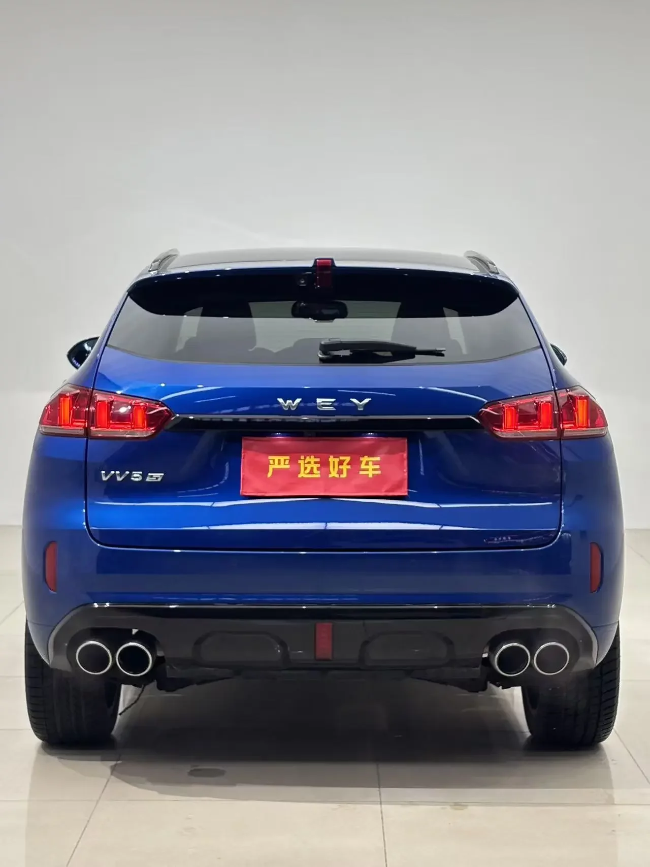 Wey Wei brand VV5
