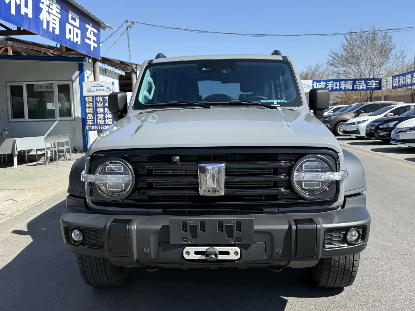 Tank 300