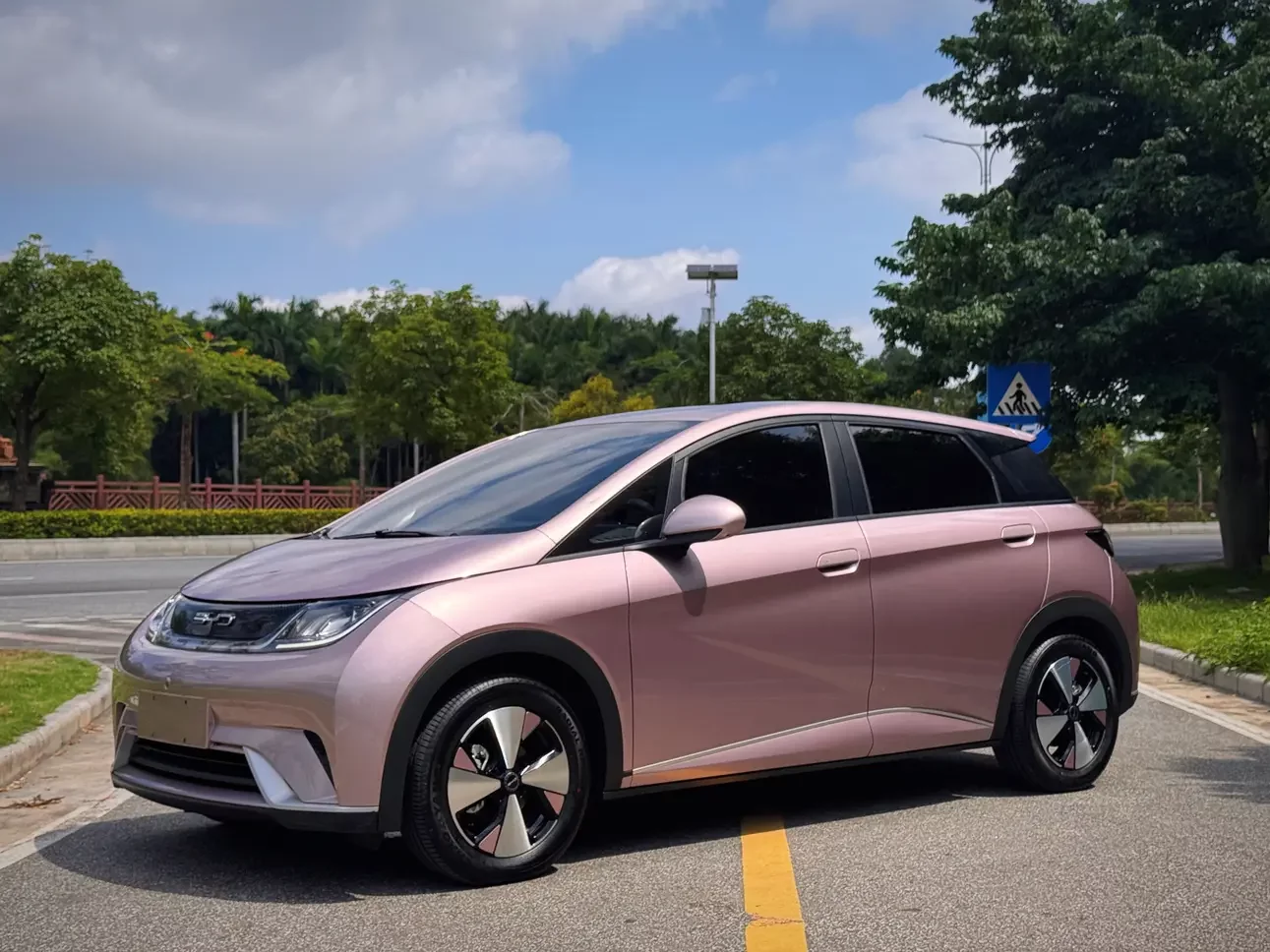 BYD dolphin