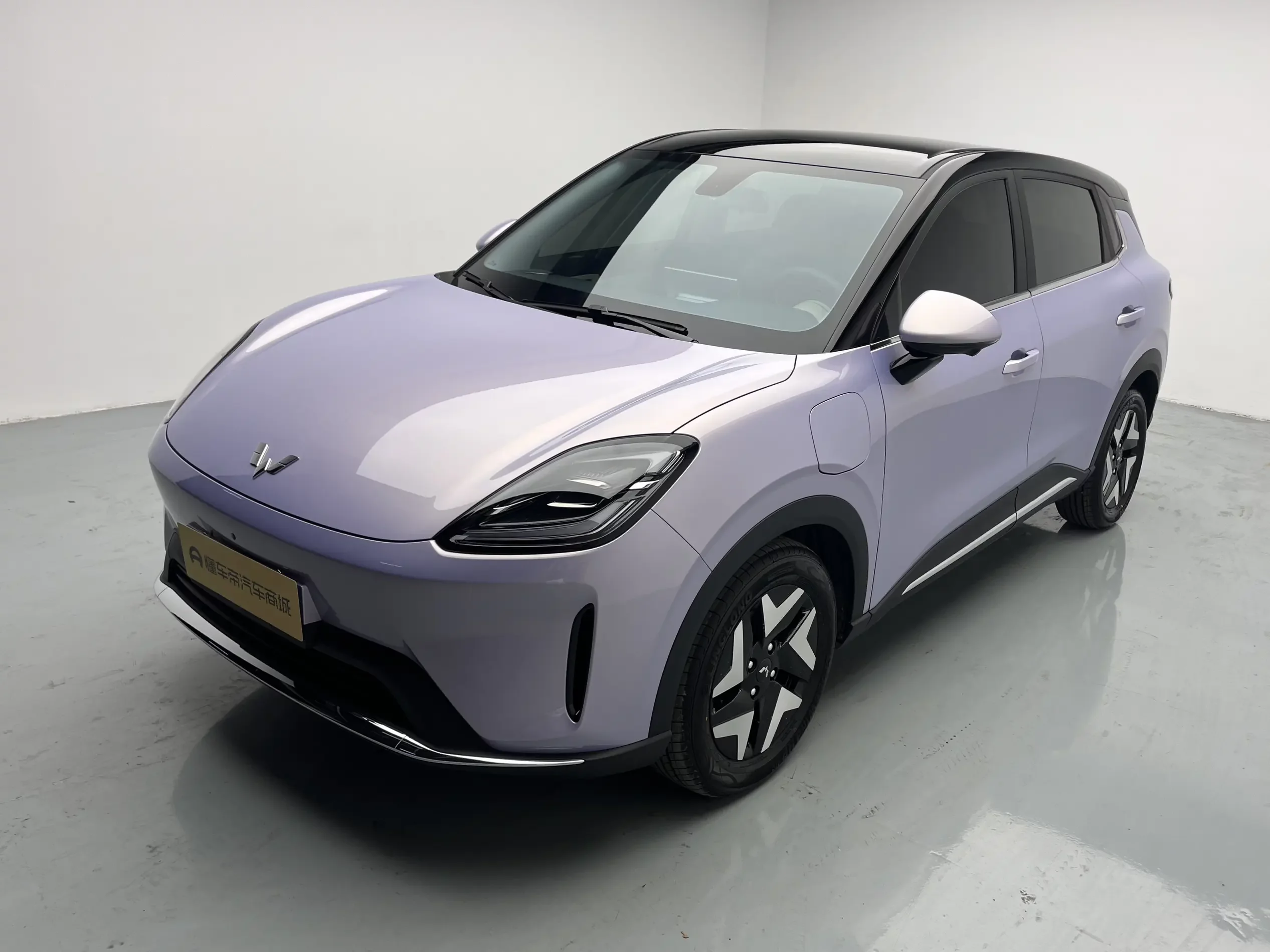 Wuling Bingo S