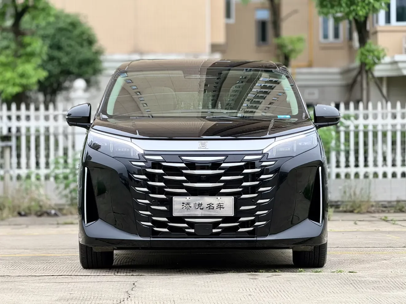 BYD summer