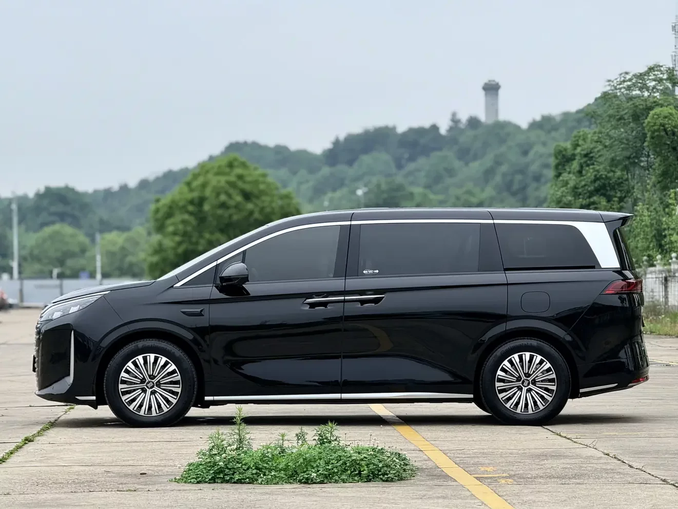 BYD summer