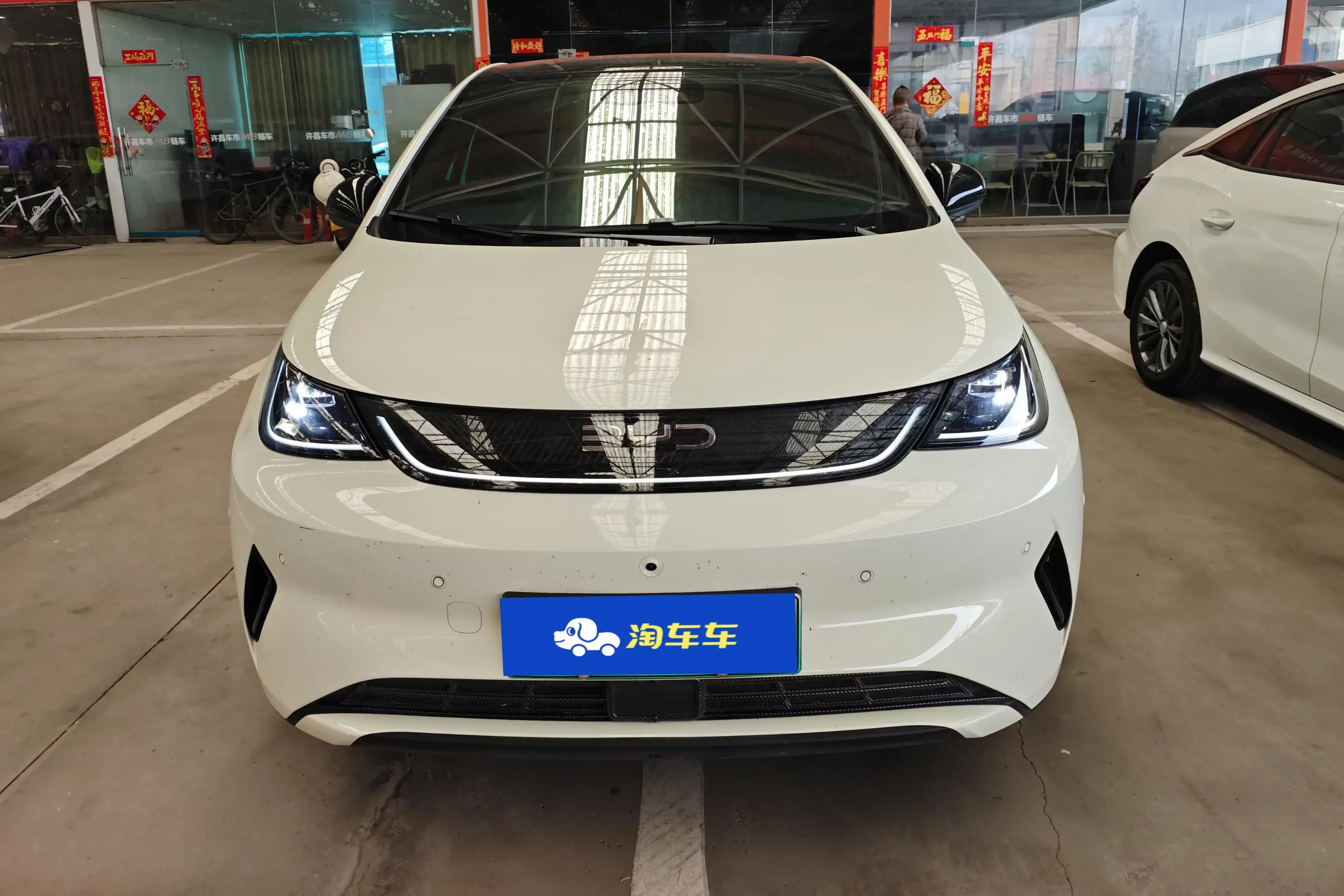 BYD dolphin