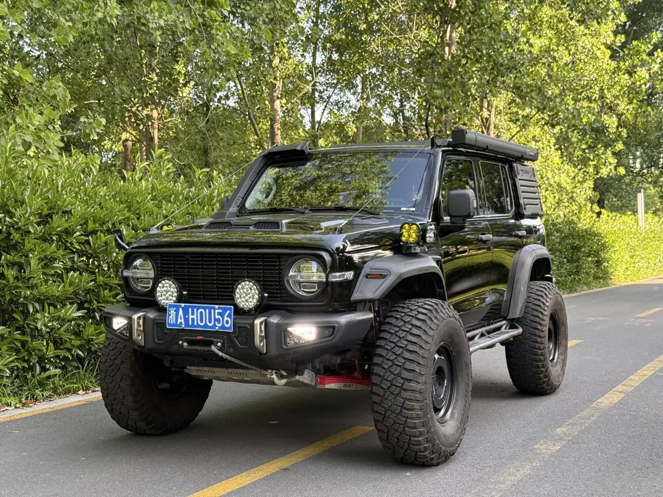 Tank 300